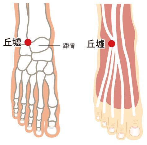 邱墟穴|丘墟穴:取穴方法,主治症狀,針灸取穴國家標準,